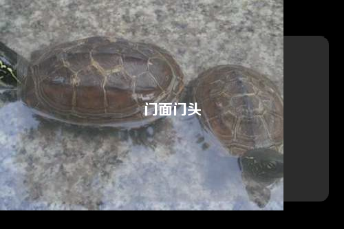 門(mén)面門(mén)頭