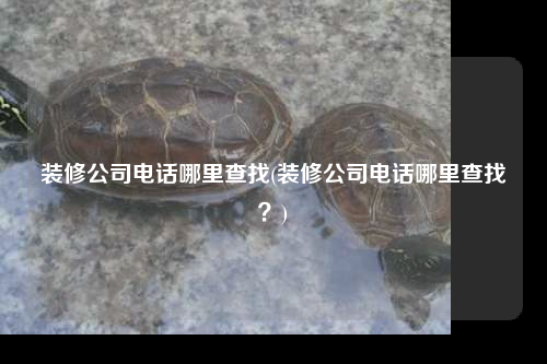 裝修公司電話哪里查找(裝修公司電話哪里查找?)