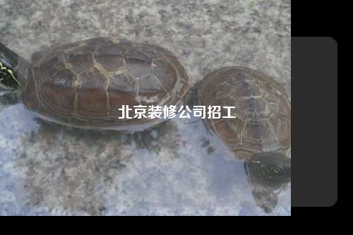 北京裝修公司招工
