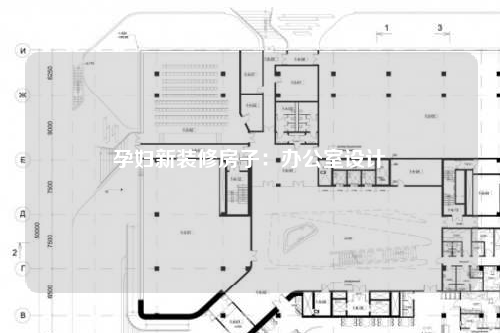 孕婦新裝修房子:辦公室設(shè)計(jì)