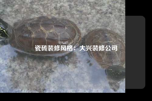 瓷磚裝修風格:大興裝修公司