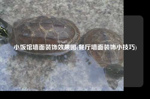 小飯館墻面裝飾效果圖(餐廳墻面裝飾小技巧)