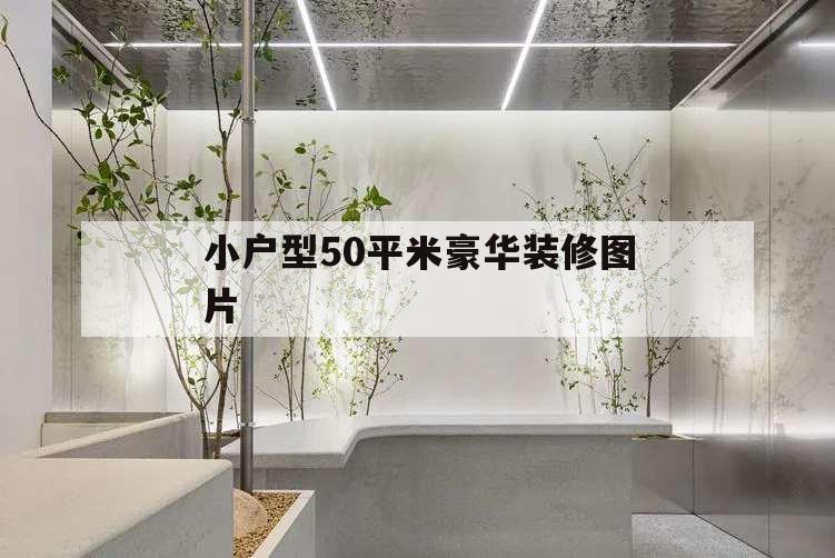 小戶型50平米豪華裝修圖片,小戶型裝修效果圖50平方全景圖