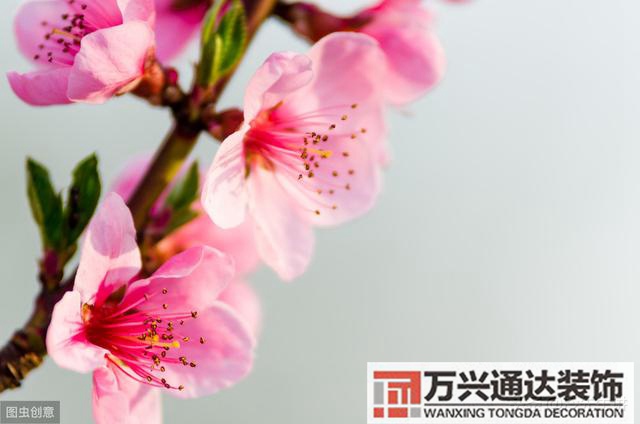 廠子風(fēng)水廠子風(fēng)水問題