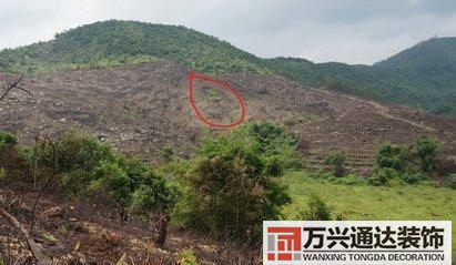 墓地風水大全墓地與風水學大全講解