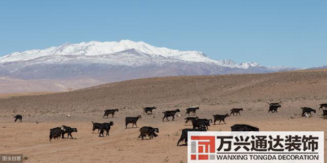 什么風(fēng)水最準最好最準的風(fēng)水